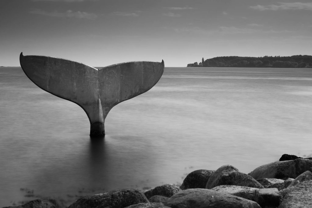 Whale tail sculpture in Faaborg 🐳